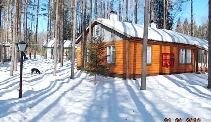 Красные станки новгородская область. Турбаза Былина Истринское водохранилище. Былина база отдыха Истра. База отдыха Былина Великий Новгород. Красные станки Новгородская область база отдыха.